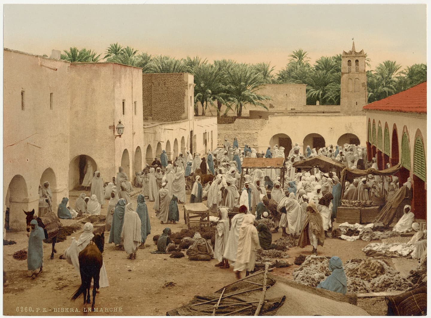 Biskra