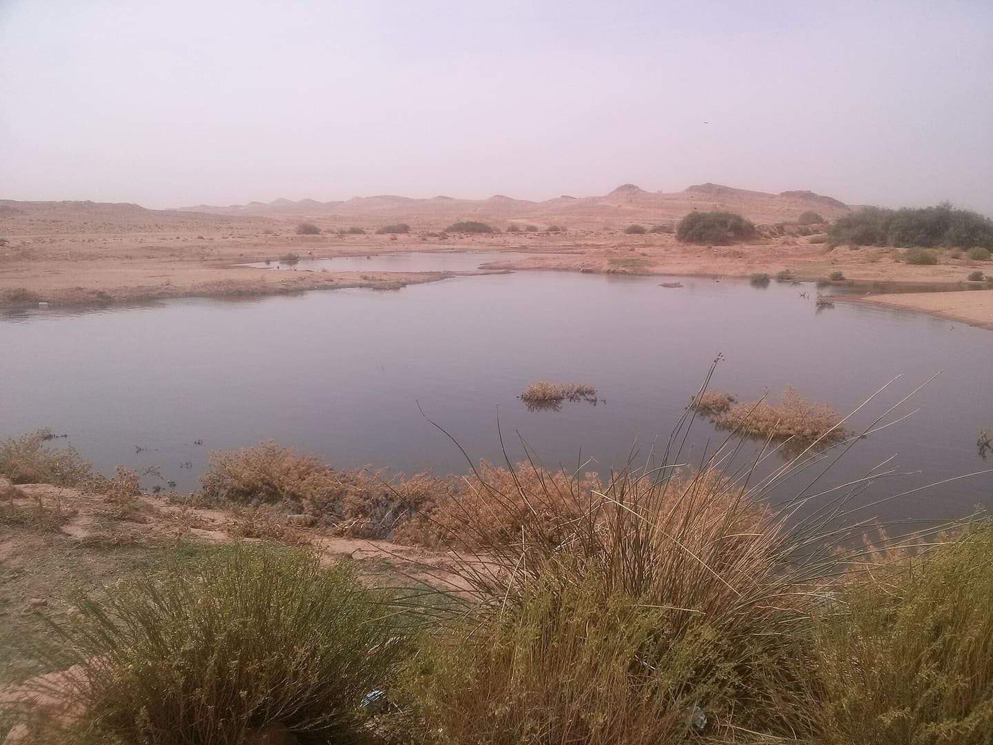Laghouat
