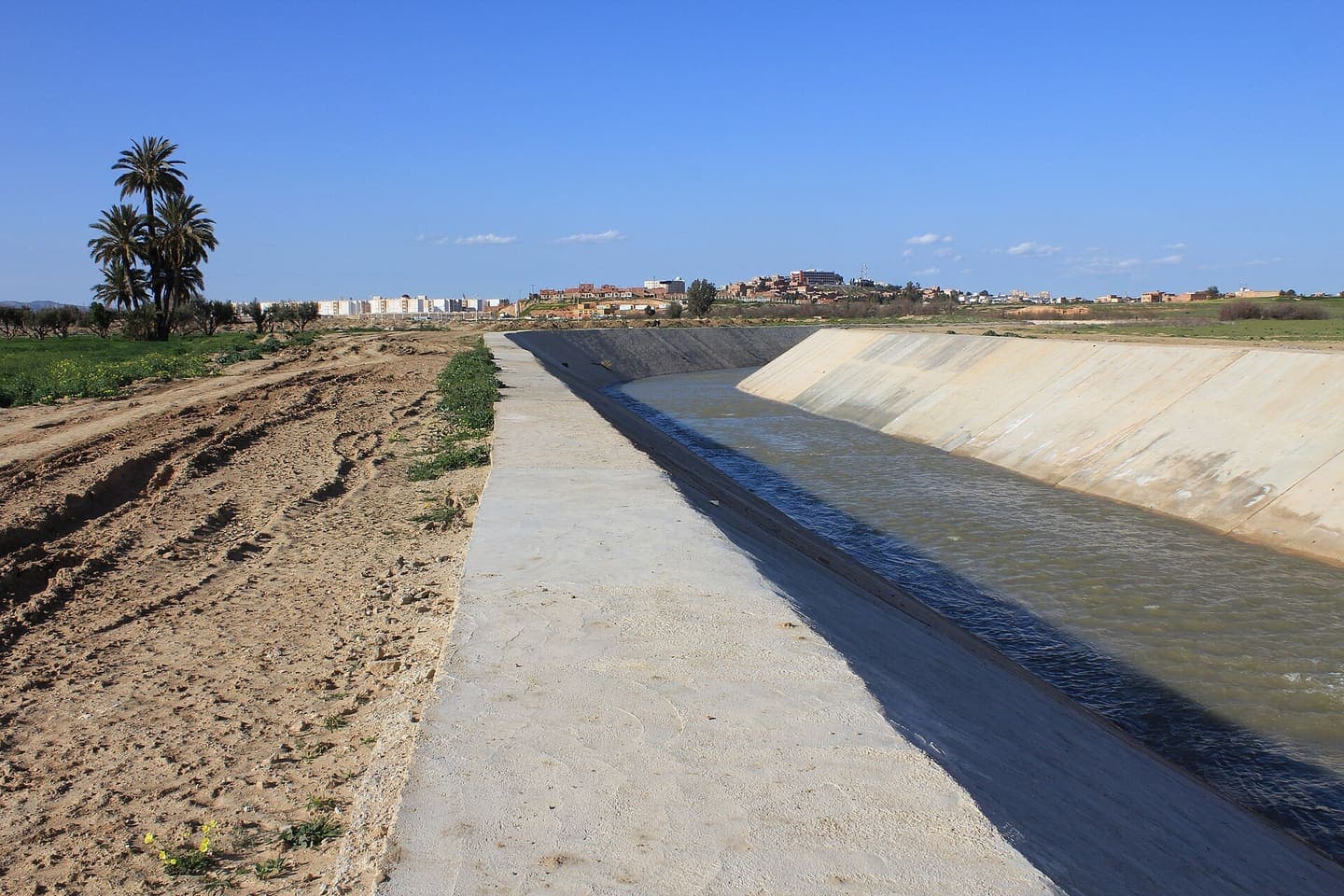Relizane