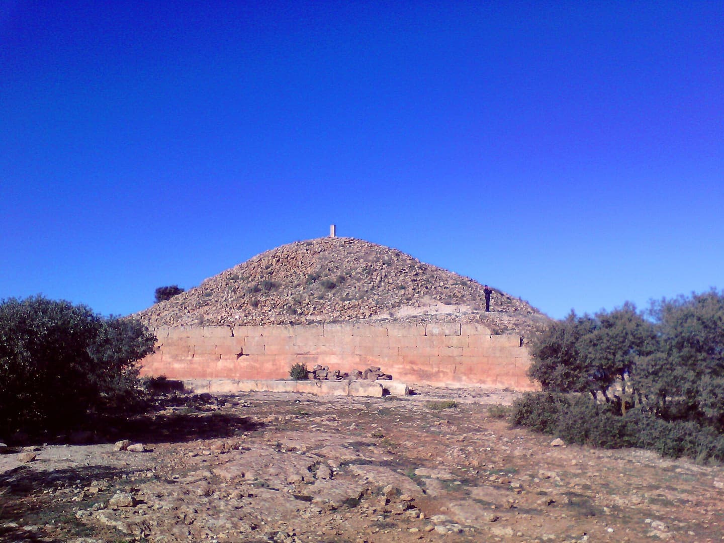 Tiaret