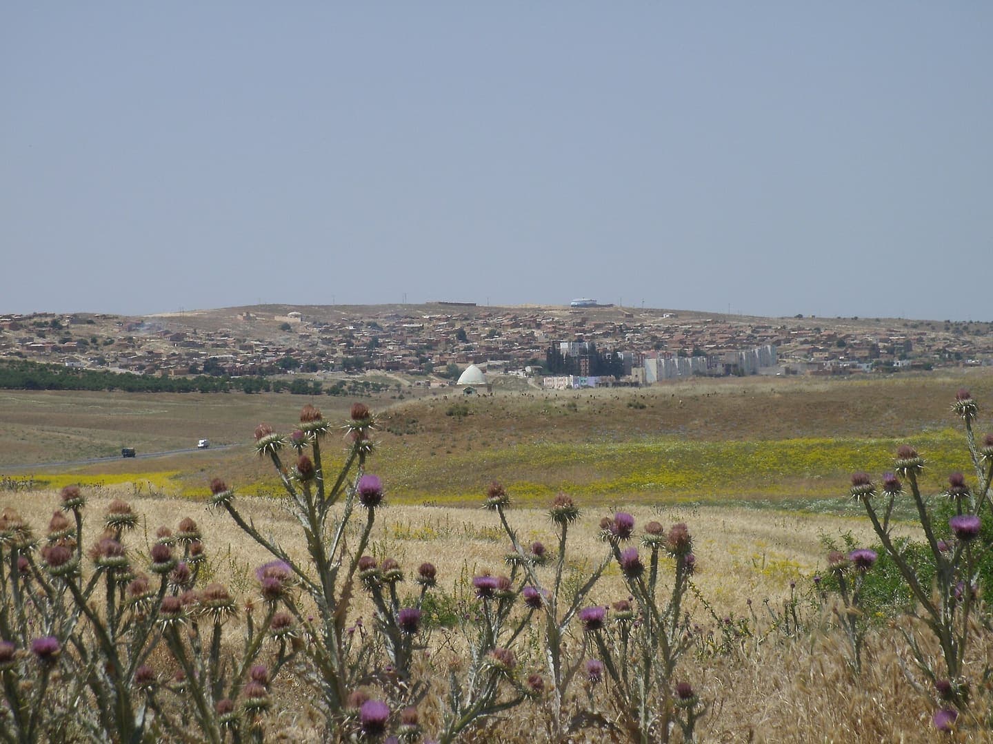 Tissemsilt